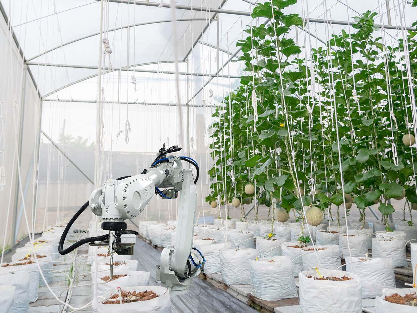 Top Three IP Issues for AgTech Startups