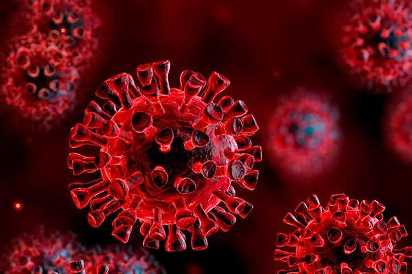 COVID-19 Alert: FDA updates antibody test policy